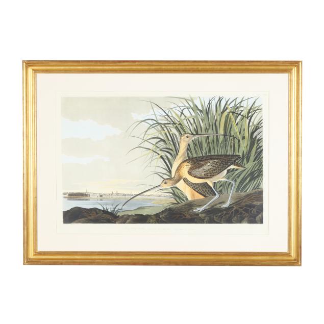 after-john-james-audubon-american-1785-1851-i-long-billed-curlew-i