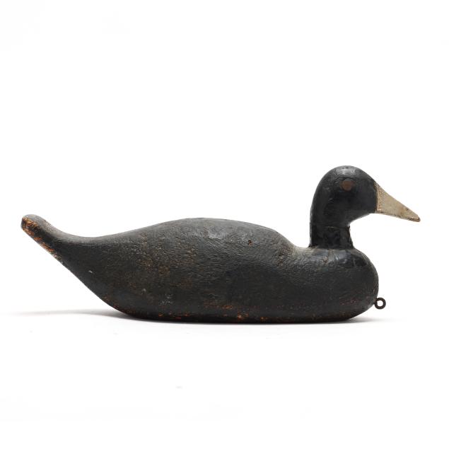 howard-gonlea-mi-coot