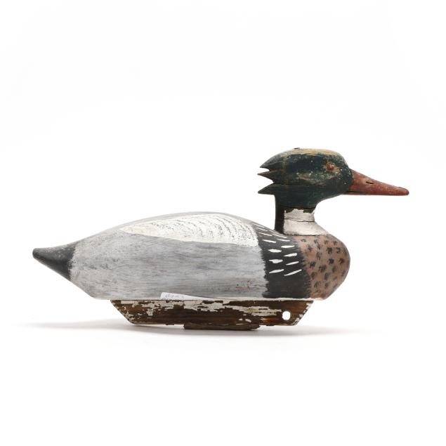 george-shau-md-merganser