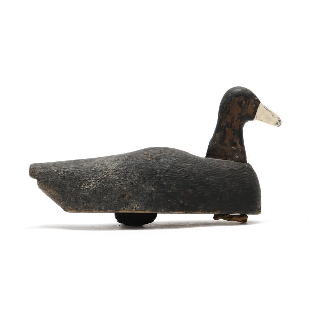 bob-barnard-va-published-coot