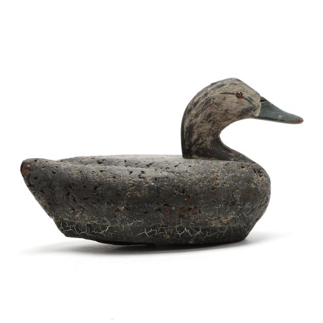 henry-davis-md-black-duck