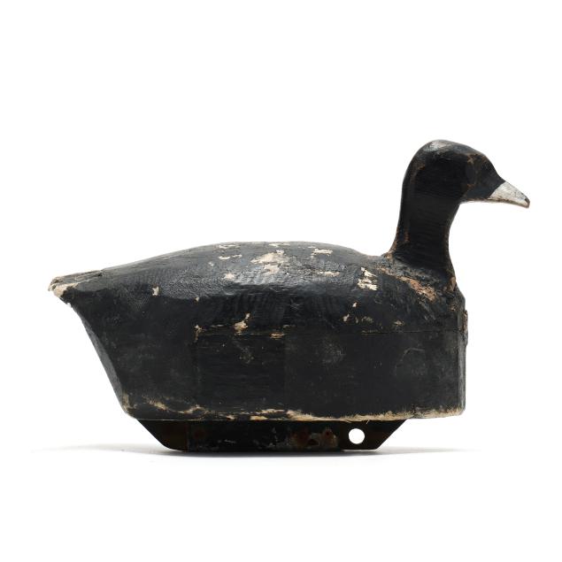 scott-etheridge-nc-1916-2000-coot