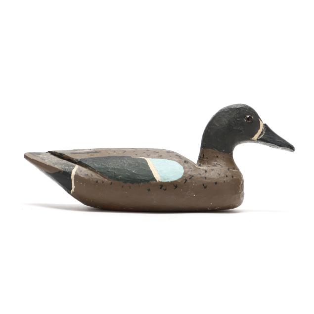 early-louisiana-green-winged-teal