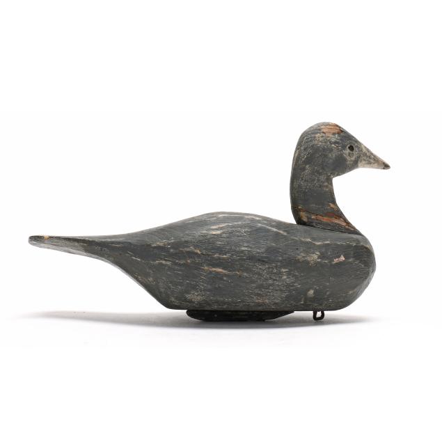 romie-waterfield-nc-1918-2010-coot