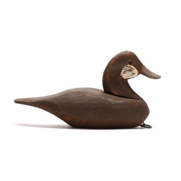 romie-waterfield-nc-1918-2010-ruddy-duck
