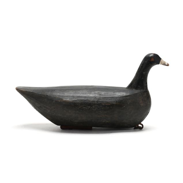 joe-hayman-nc-1896-1974-swimming-coot