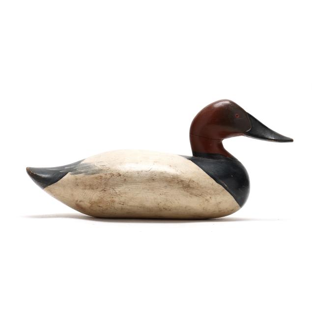 early-upper-bay-canvasback