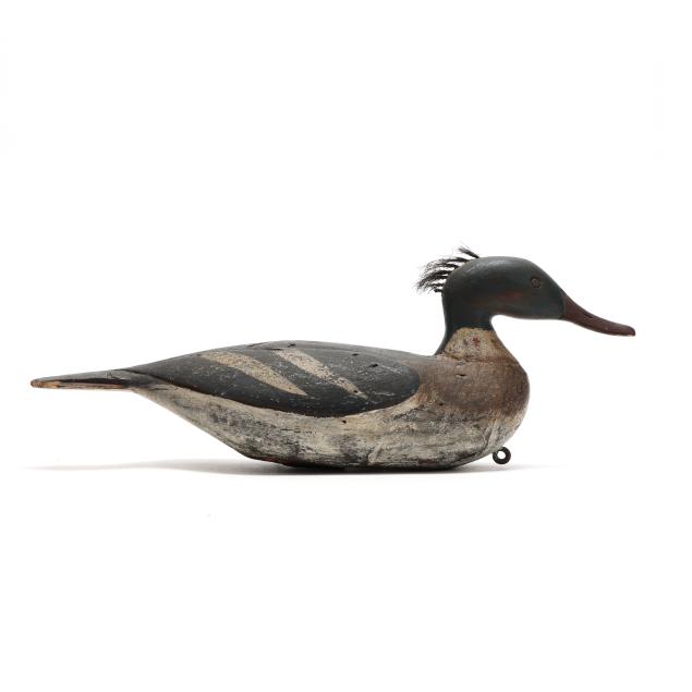preston-wright-ma-merganser