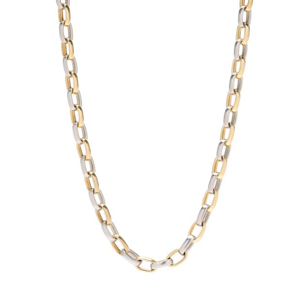 long-gold-and-platinum-chain