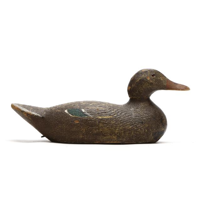 early-factory-black-duck