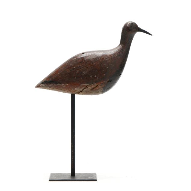 early-eastern-shore-virginia-black-bellied-plover