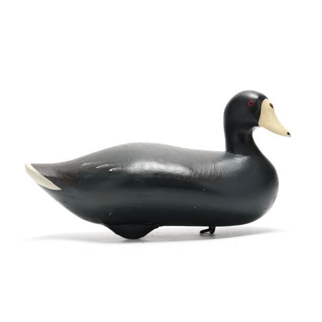 madison-mitchell-md-1901-1993-coot
