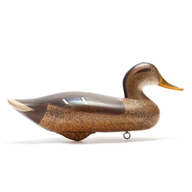 madison-mitchell-md-1901-1993-hen-mallard