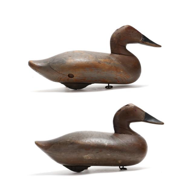 madison-mitchell-md-1901-1993-two-early-hen-canvasbacks