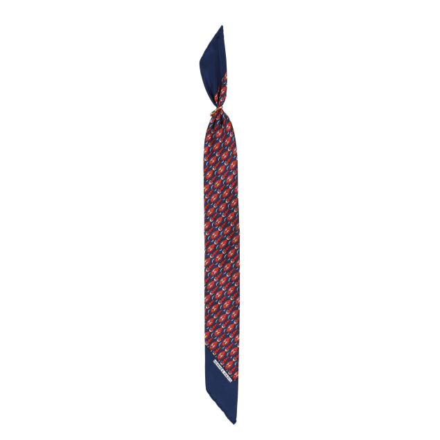 silk-neck-scarf-hermes