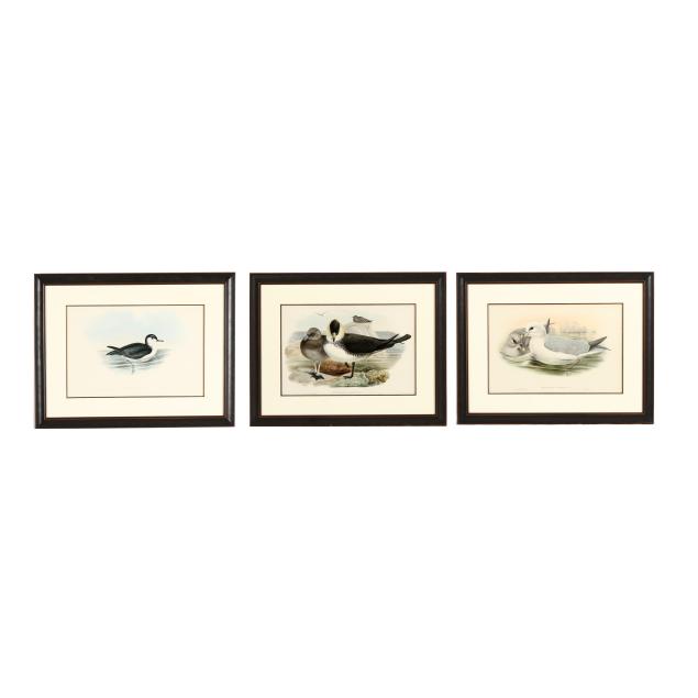 three-framed-gould-richter-ornithological-prints