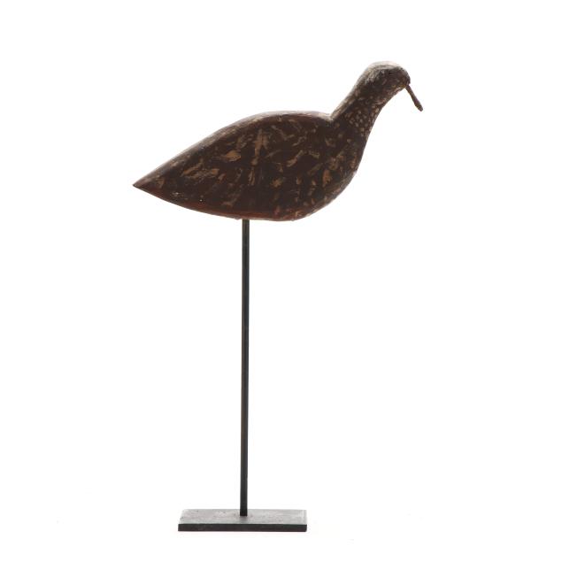 early-southern-outer-banks-golden-plover