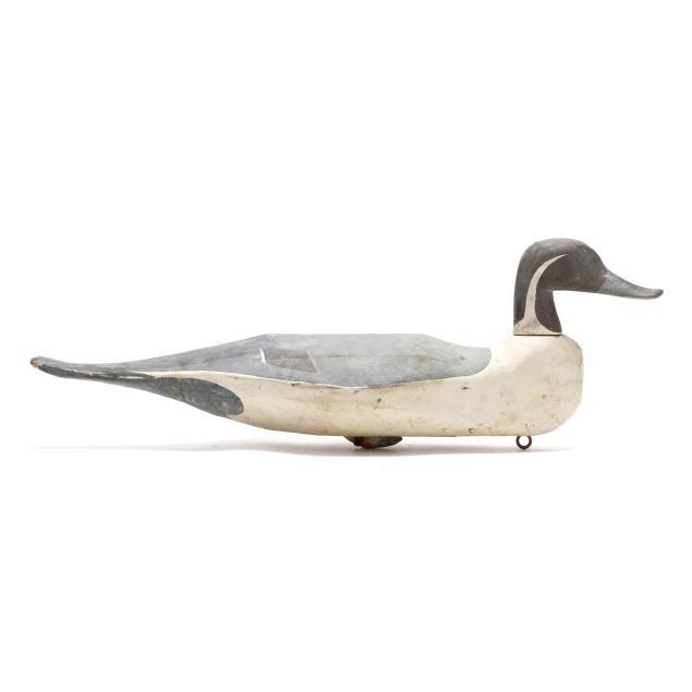 lloyd-tyler-md-1898-1970-pintail