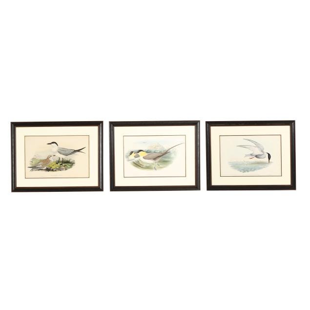 set-of-three-framed-gould-richter-ornithological-prints
