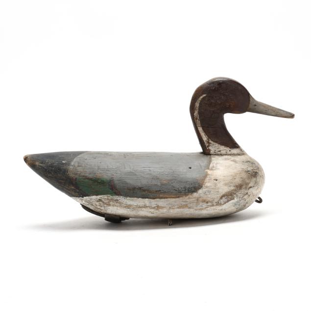 early-corey-lodge-pintail