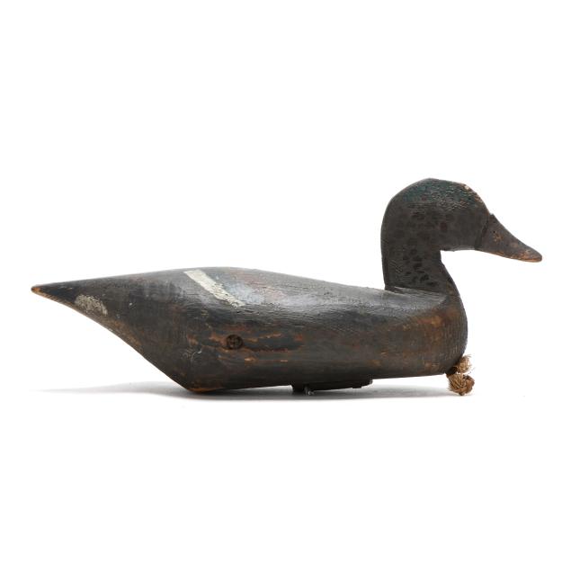 orval-pop-gaus-va-hen-widgeon