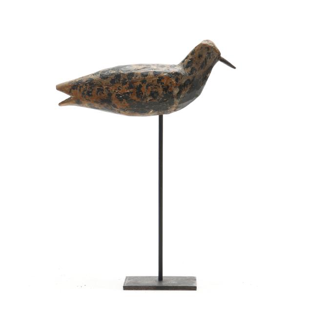 early-new-jersey-black-bellied-plover
