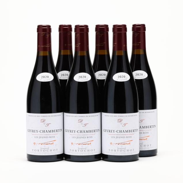 gevrey-chambertin-2020-les-jeunes-rois-domaine-tortochot-6-bt