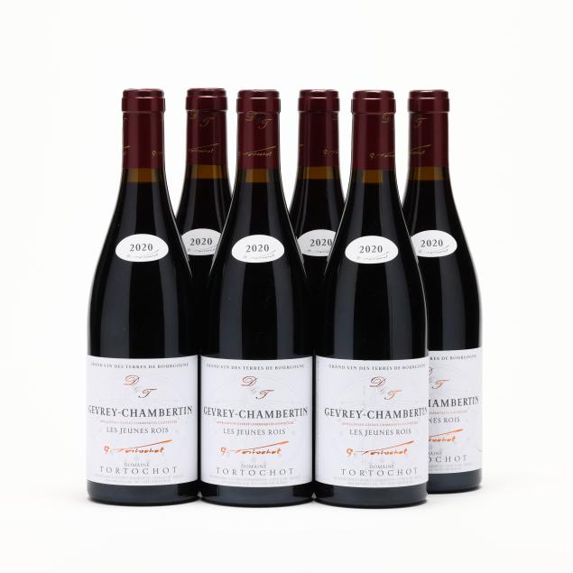 gevrey-chambertin-2020-les-jeunes-rois-domaine-tortochot-6-bt