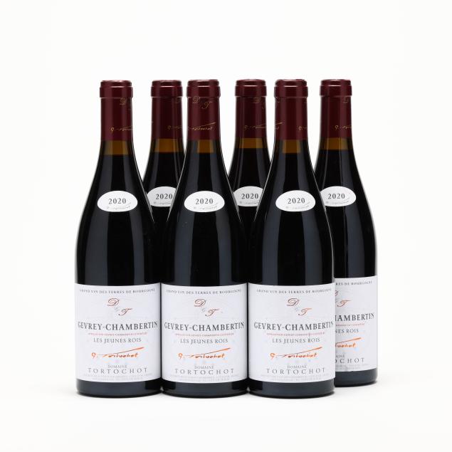 gevrey-chambertin-2020-les-jeunes-rois-domaine-tortochot-6-bt