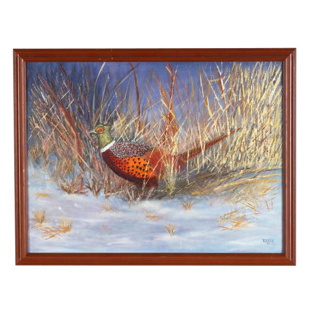 r-evans-american-pheasant-in-the-grass