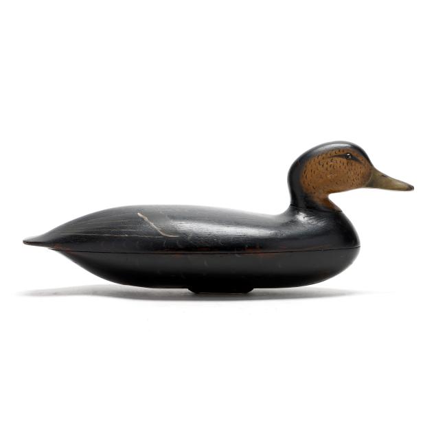 early-blair-school-black-duck