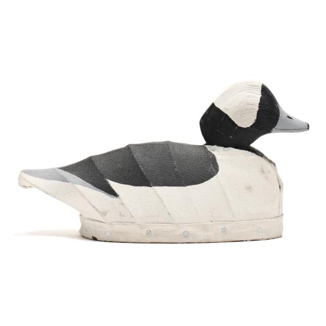 willis-irvine-nc-bufflehead