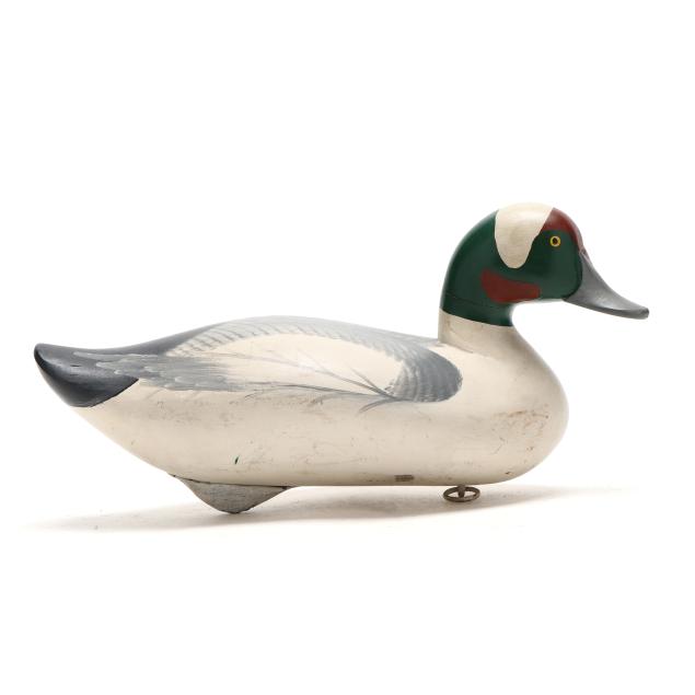 upper-bay-bufflehead