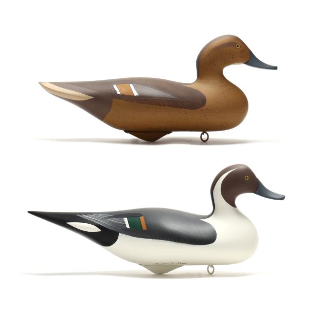 captn-bill-collins-md-pair-of-pintails