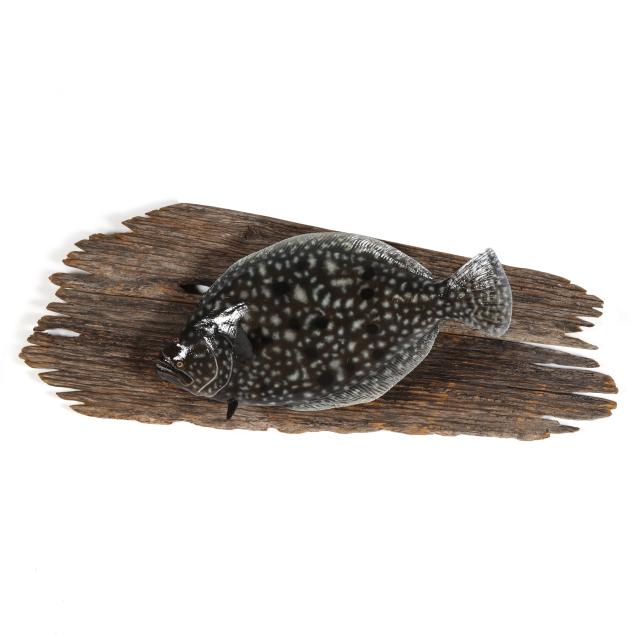 flounder-taxidermy-mounted-on-driftwood