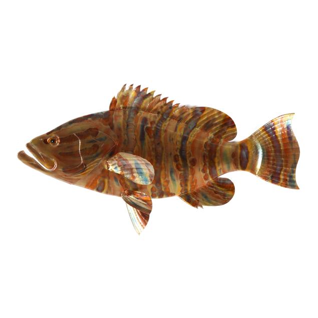hanes-hoffman-nc-copper-grouper