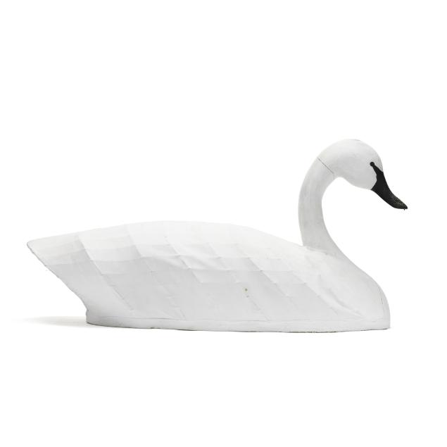 currituck-swan