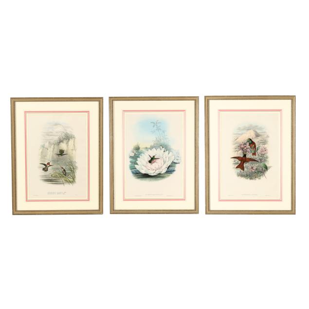 three-gould-richter-hummingbird-lithographs