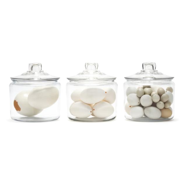 a-collection-of-egg-specimens