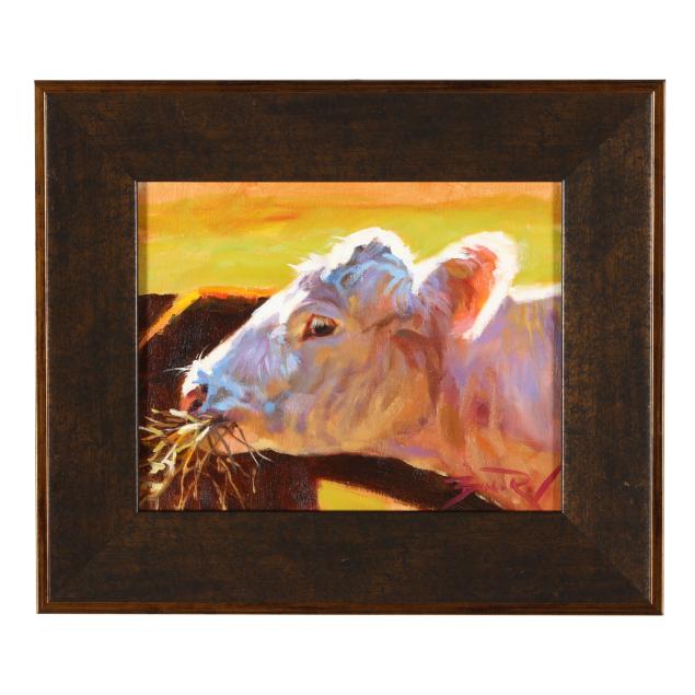 bill-roy-american-cow-grazing