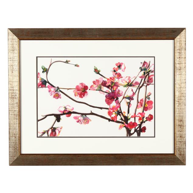 tat-hicks-nc-flowering-quince