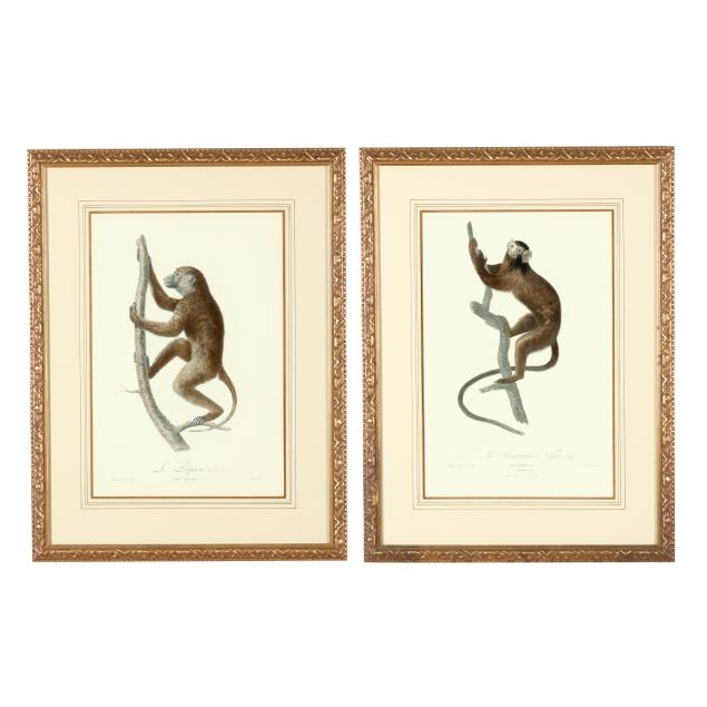 after-jean-baptiste-audebert-french-1759-1800-pair-of-primate-prints