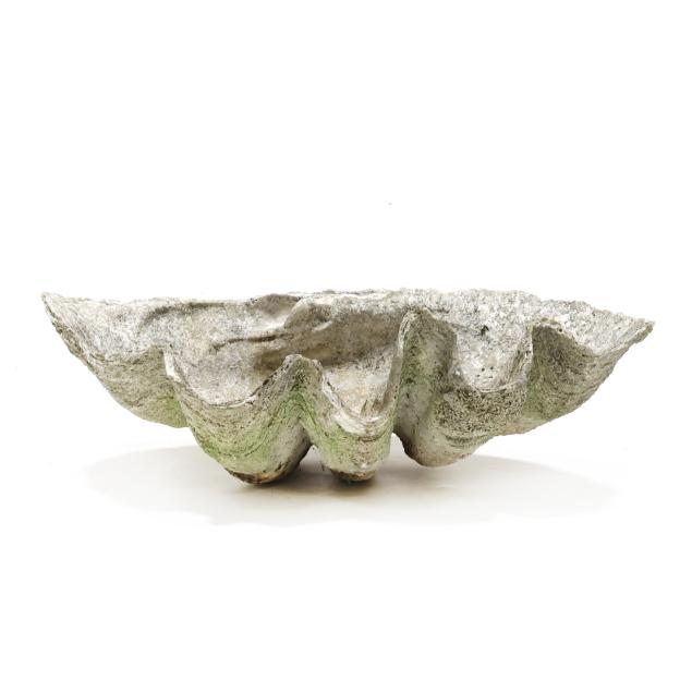 37-giant-clam-shell-i-tridacna-gigas-i