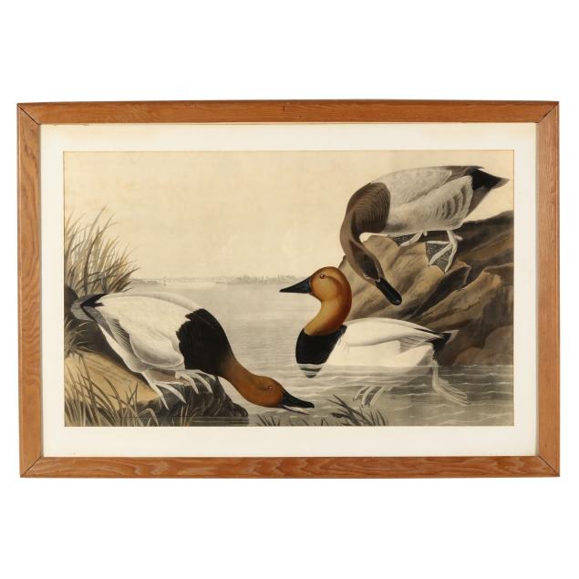 after-john-james-audubon-american-1785-1851-canvas-backed-ducks