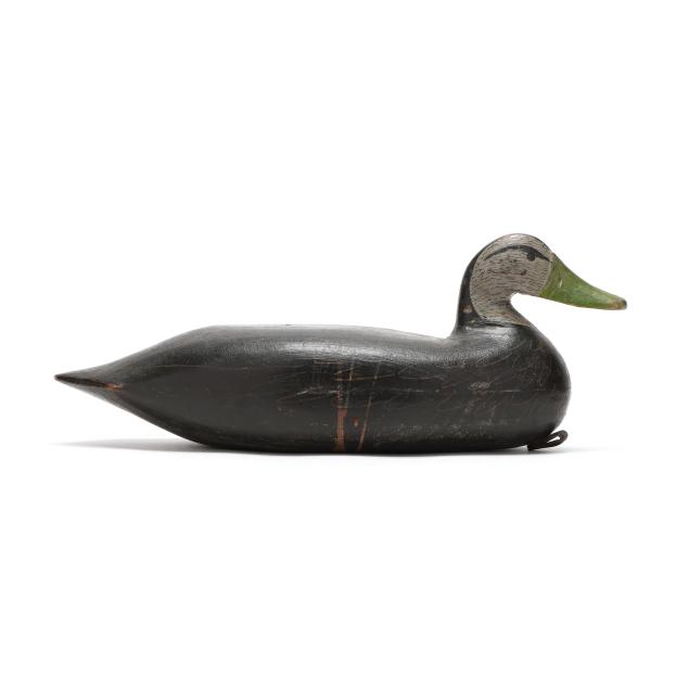 grover-cleve-daebler-nj-black-duck