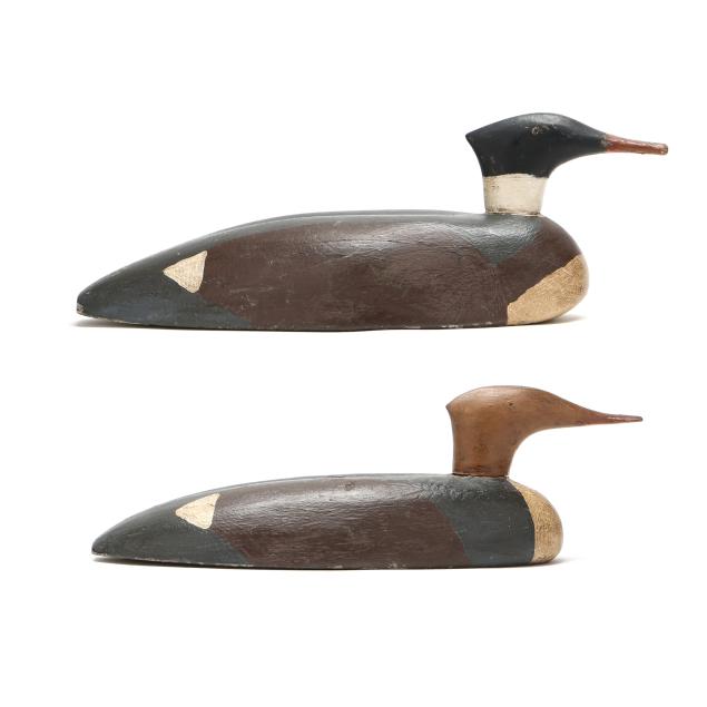 early-pair-of-isle-madame-mergansers