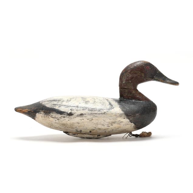john-daddy-holly-md-1819-1892-canvasback