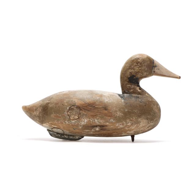 cockey-family-md-hen-canvasback
