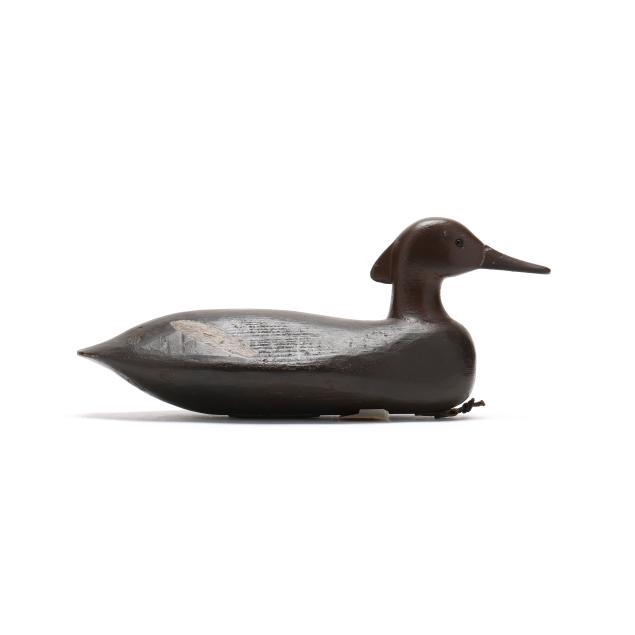 early-delaware-river-school-hen-merganser