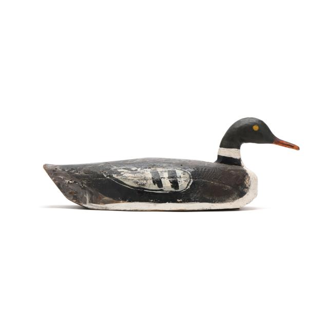 early-red-breasted-merganser